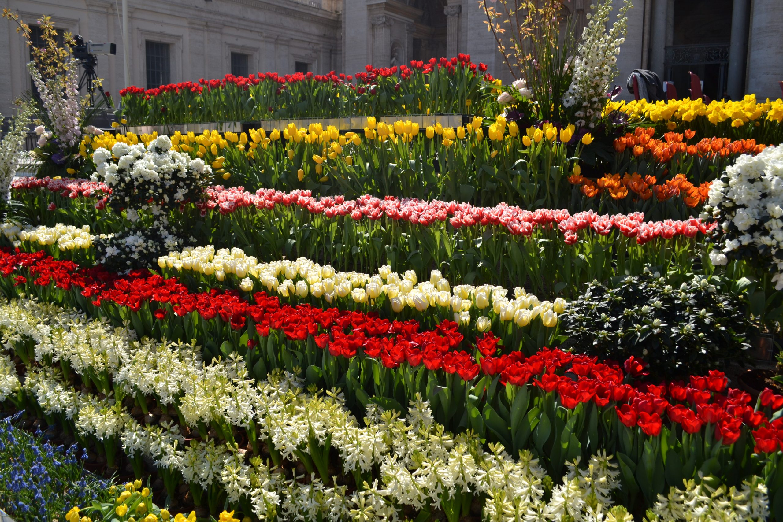 Deel 2: Een gift voor de paus: Bedankt voor de bloemen! - RTV Lansingerland