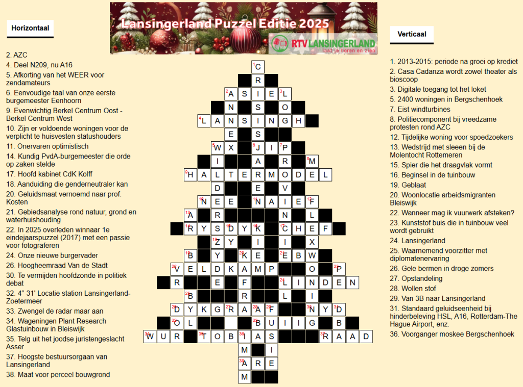 Oplossing Eindejaarspuzzel 2025