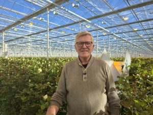 Vijfde keer Vaticaanse bloemenpracht: Piet van der Burg kleurt het Sint Pietersplein