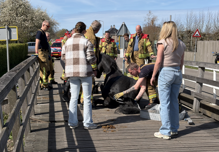Paard komt vast te zitten in gat van brug Hoeksekade Bergschenhoek