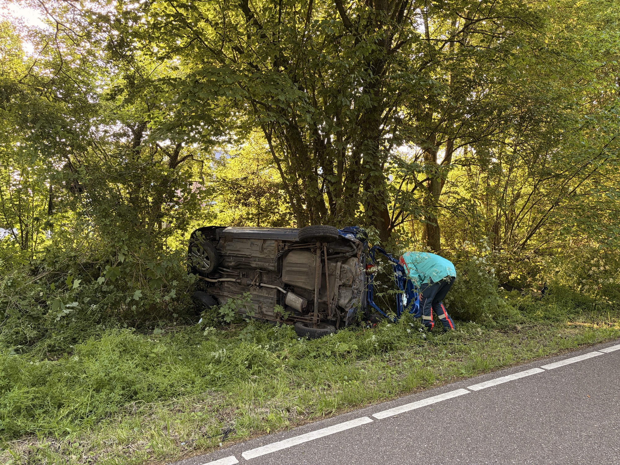 Auto op z’n zijkant tegen boom Kooilaan in Bleiswijk