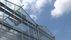 Glastuinbouw EnergiekEvent in Bleiswijk zoekt oplossingen voor vol stroomnet